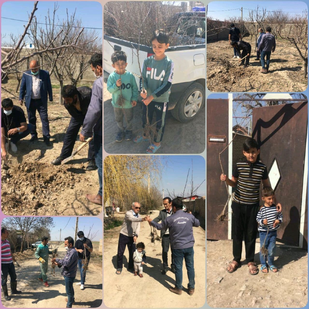 توزیع نهال در روز درختکاری توسط دهیاری و رئیس شورای اسلامی روستای زرگر