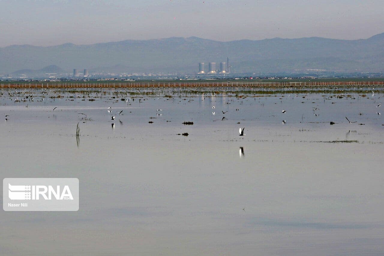 تالاب الله آباد آبیک به زودی تعیین تکلیف می‌شود